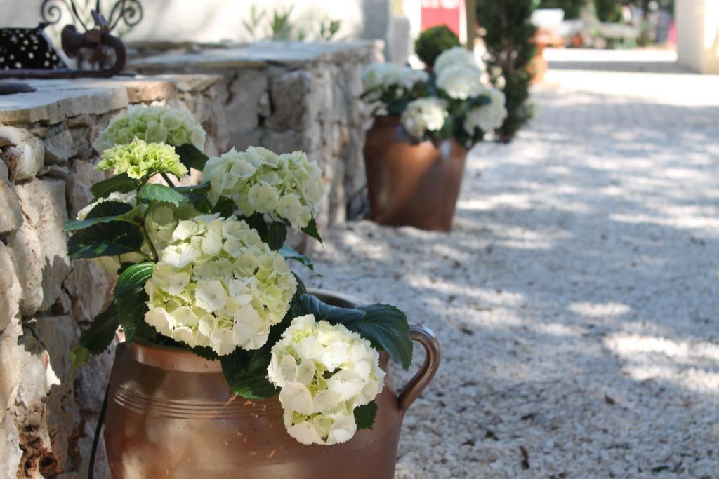 Les Jardins D'Holi Proche Uzes Bed & Breakfast Garrigues-et-Sainte-Eulalie Exterior photo